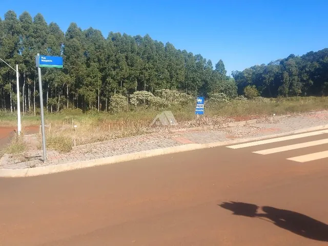 Imagem 12: LOTES PARA VENDA NO MEZOMO E UNIVERSITÁRIO