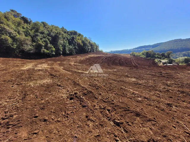 Imagem 5: ÁREA EM SEDE FIGUEIRA CHAPECÓ