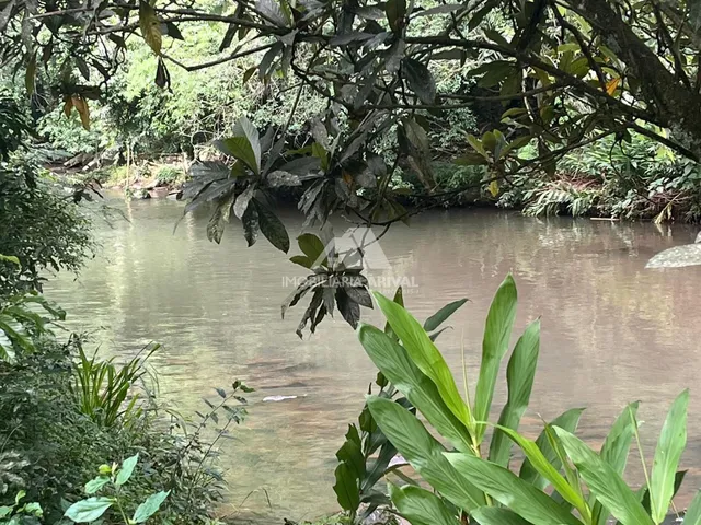 Imagem 3: CHÁCARA COM RIO NOVA ITABERABA