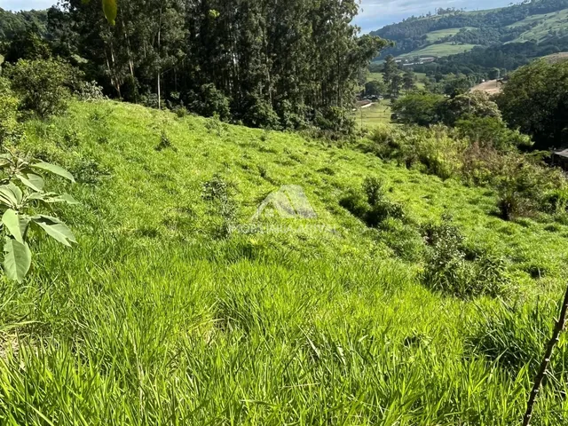 Imagem 5: ÁREA MISTA EM NOVA ITABERABA