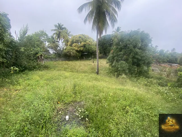 Imagem 5: Sitio com 2 casas, Piscina, Coqueiros de Arembepe 6.000m2