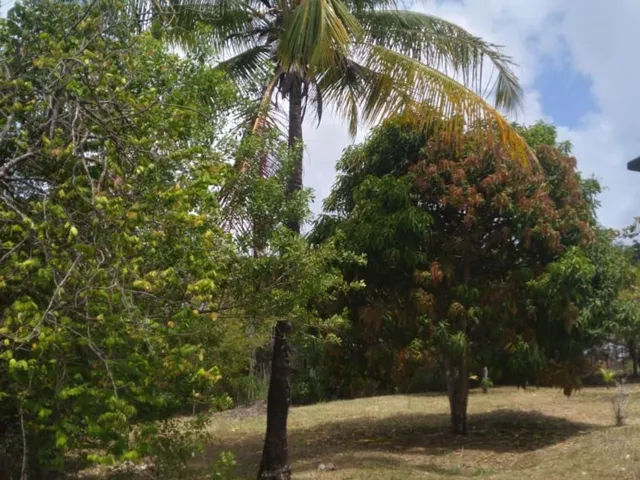 Imagem: Chácara / Sítio Residencial em Camacari