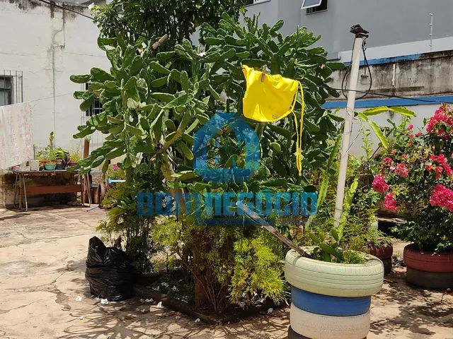 Imagem 14: CASA ANTIGA NA ILHA SENDO VENDIDA COMO LOTE COM 360 M DE ÁREA E OTIMA OPORTUNIDA