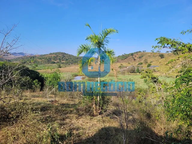 Imagem 5: Sítio com 5 alqueires, casa sede e riacho à venda, Chonin De Cima, GOVERNADOR VALADARES