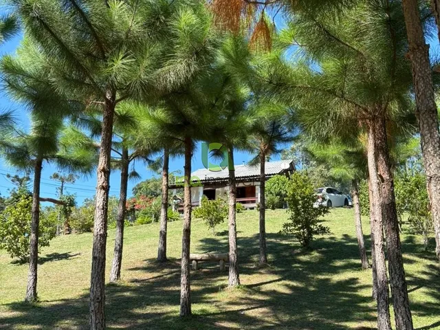 Imagem 7: Chácara à venda em Anitápolis-SC: Casa rústica com 1 quarto, 2 salas e vista