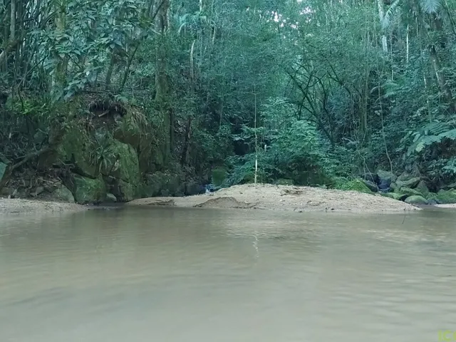 Imagem 10: Vende-se lindo sitio com cachoeira em São José na Colônia Santana