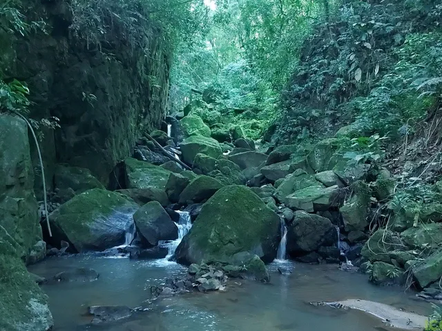 Imagem 13: Vende-se lindo sitio com cachoeira em São José na Colônia Santana