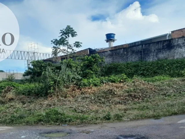 Imagem: TERRENO COMERCIAL em MANAUS - AM, FLORES