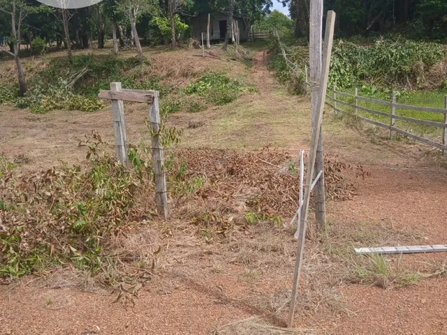 Imagem 7: FAZENDA RURAL em AUTAZES - AM, Estrada AM-254 - Fazenda