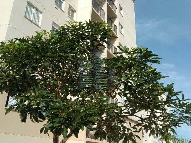 Imagem: APARTAMENTO RESIDENCIAL em CAMPINAS - SP