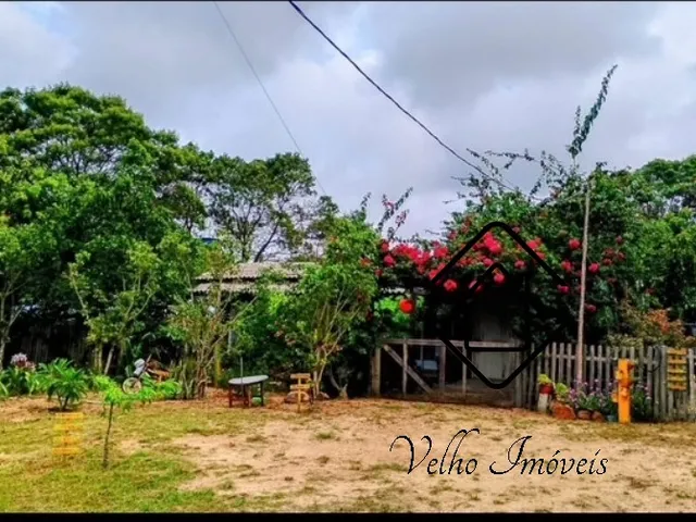 Imagem: FAZENDA RURAL em MOSTARDAS - RS, Bacupari
