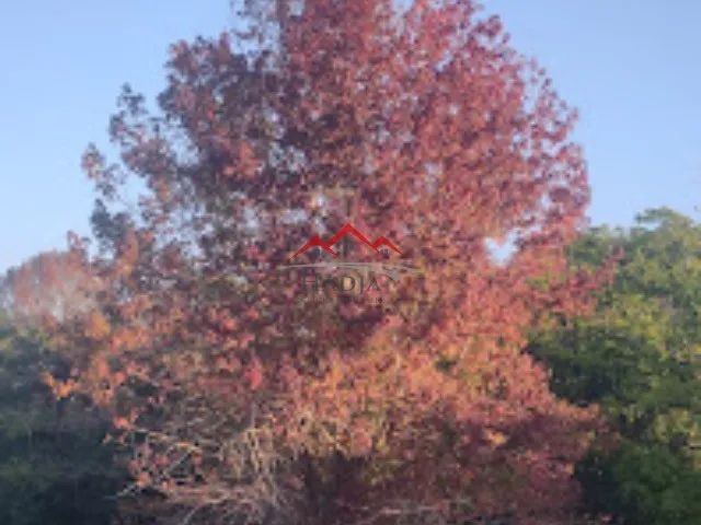 Imagem 4: TERRENO A VENDA NO CONDOMÍNIO TERRA CAXAMBU EM JUNDIAÍ-SP