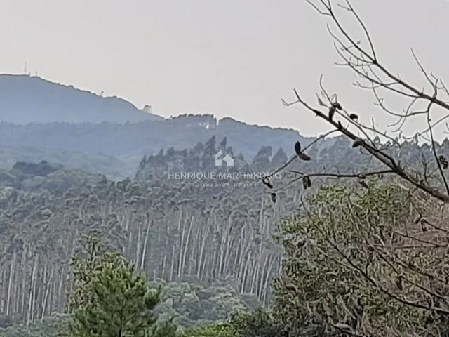 Imagem 15: Chácara de 128.000m2 próximo de Curitiba e Almirante Tamandaré-PR