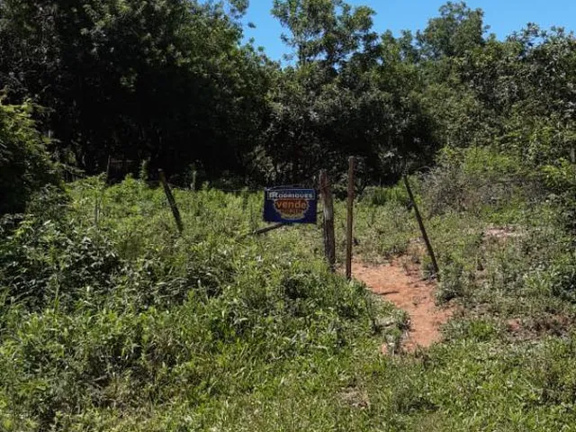 Imagem: TERRENO AMPLO