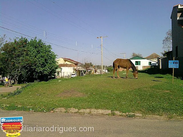 Imagem: Terreno com 2 Dormitorio(s) localizado(a)