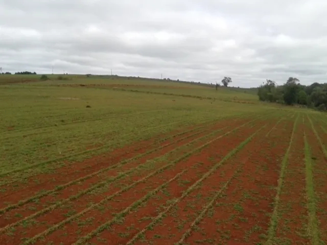 Imagem: FAZENDA RURAL em Itapeva - SP, Área Rural