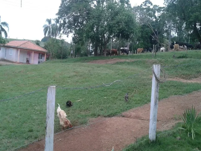 Imagem 3: FAZENDA RURAL em Itapeva - SP, Área Rural