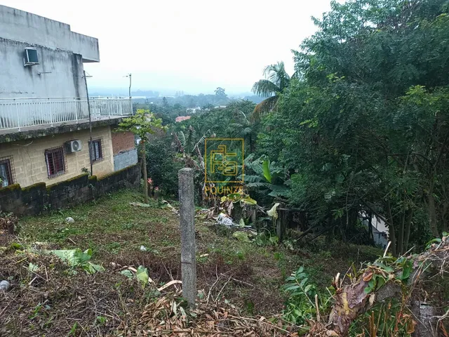 Imagem 4: Terreno no bairro dos Estados em Timbó