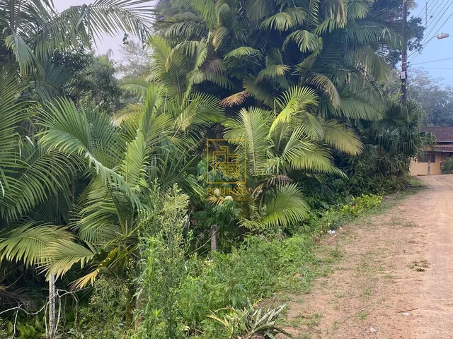 Imagem: LINDO TERRENO EM BLUMENAU