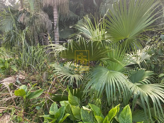 Imagem 4: LINDO TERRENO EM BLUMENAU