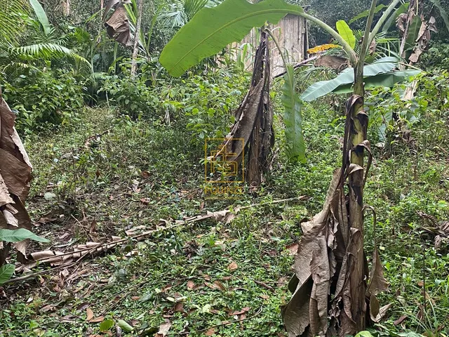 Imagem 10: LINDO TERRENO EM BLUMENAU