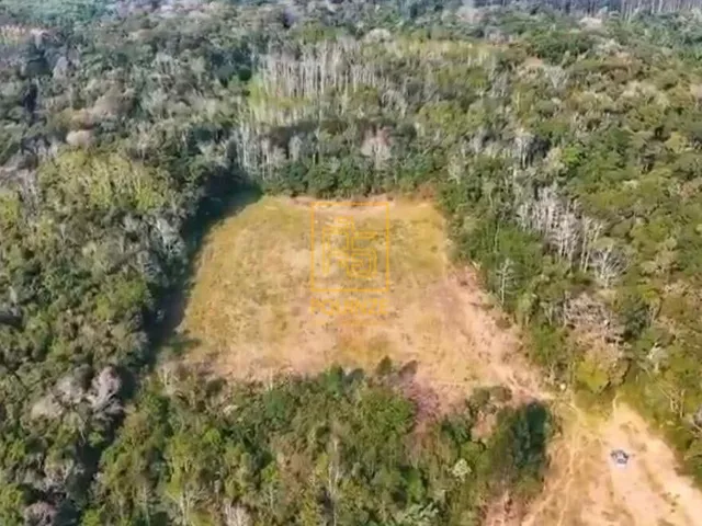 Imagem 3: Terreno amplo no bairro Albertina em Rio do Sul