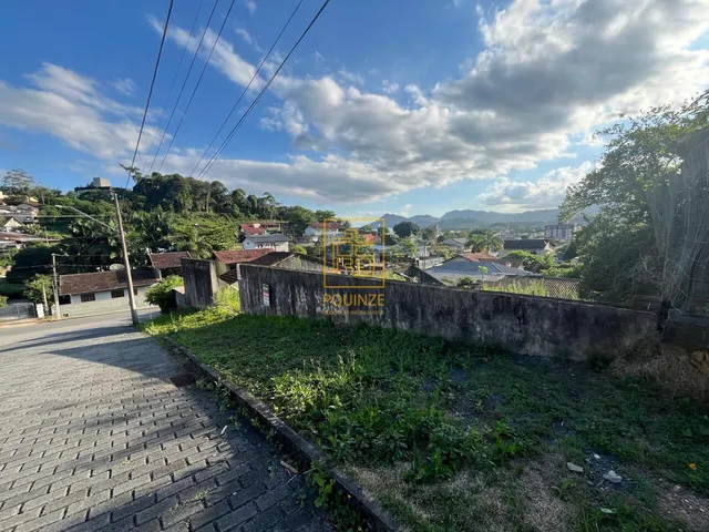 Imagem 2: Excelente terreno murado no bairro Quintino