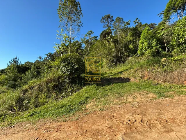 Imagem: Terreno de 516m² no bairro Pomeranos