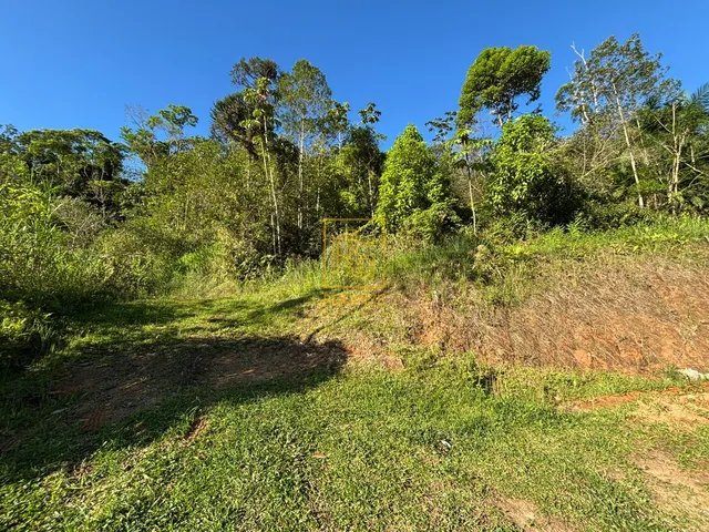 Imagem 7: Terreno de 516m² no bairro Pomeranos