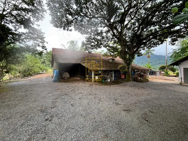 Imagem 3: Sítio com quintal, área de cultivo e casa ampla no Tiroleses
