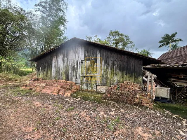 Imagem 6: Sítio com quintal, área de cultivo e casa ampla no Tiroleses