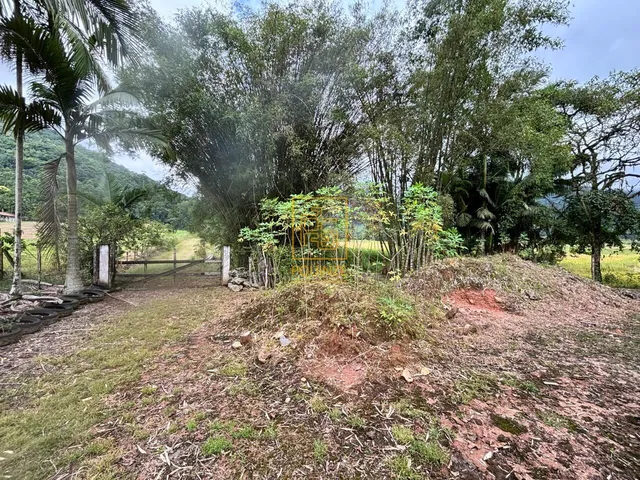 Imagem 9: Sítio com quintal, área de cultivo e casa ampla no Tiroleses