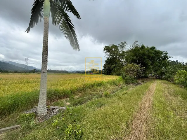 Imagem 15: Sítio com quintal, área de cultivo e casa ampla no Tiroleses