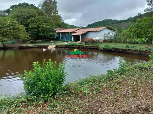 Imagem 8: Sítio de 4 ha, casa principal com 05 suítes, baias de cavalos e lago perene em G