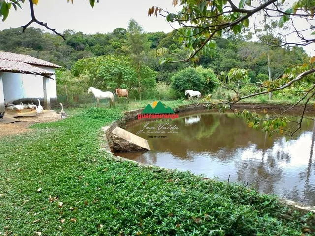 Imagem 11: Sítio de 4 ha, casa principal com 05 suítes, baias de cavalos e lago perene em G