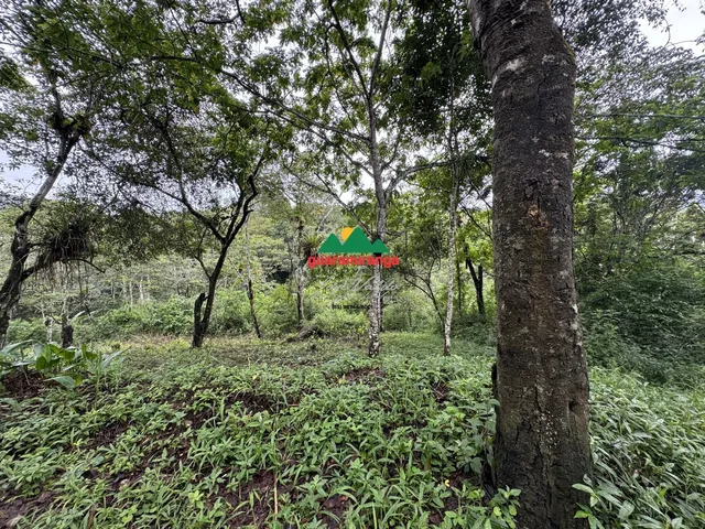 Imagem 3: Terreno com 7.675,07 m², com perímetro de 383,74 m², localizado a 700m de Guaram