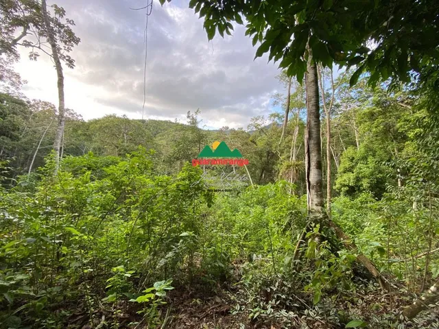 Imagem: Gleba com 2.500,99 m² a venda com escritura