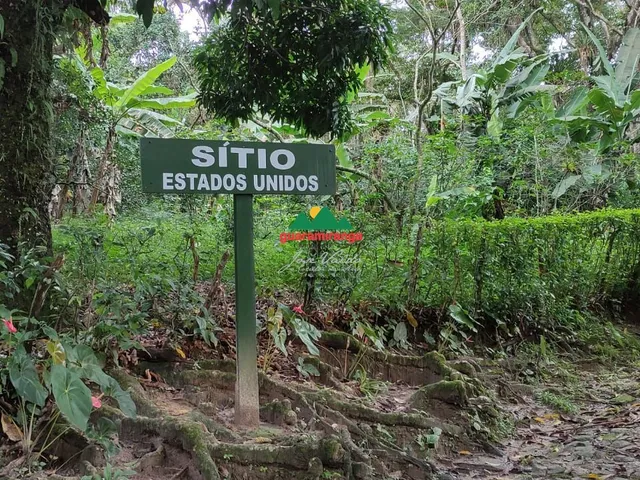 Imagem: Sítio com 60 ha, com 06 casas, 08 olhos