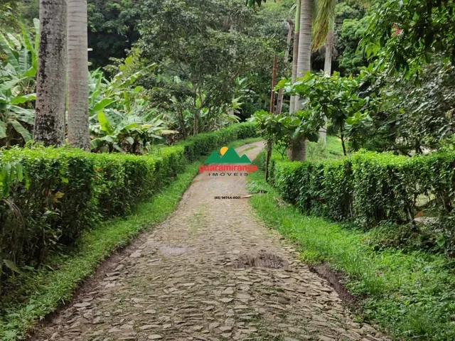 Imagem 7: Sítio com 60 ha, com 06 casas, 08 olhos d'gua, 05 barragens e árvores frutíferas