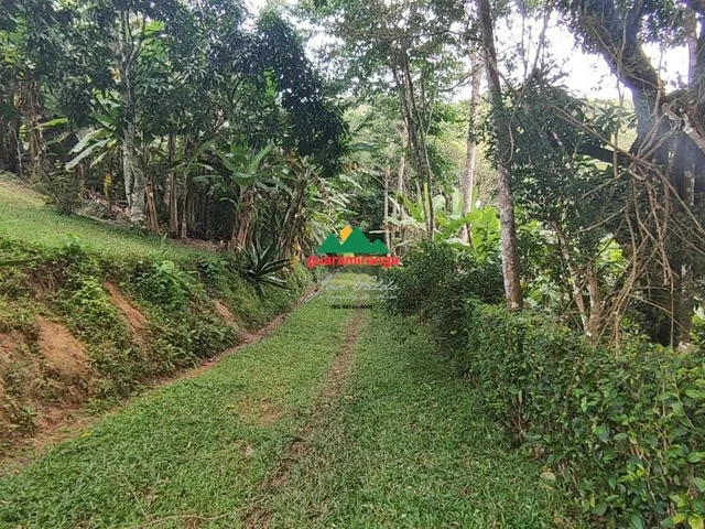 Imagem 16: Sítio com 60 ha, com 06 casas, 08 olhos d'gua, 05 barragens e árvores frutíferas