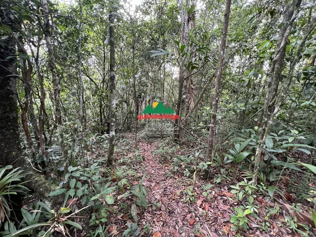 Imagem 4: Glebas que somam uma área total de 9.270,94m², com projeto arquitetônico, próxim