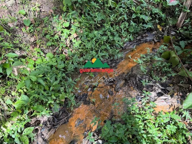 Imagem 7: Terreno com 5.2 hectares em Pacoti com nascente, vista para as montanhas e exce
