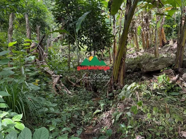Imagem 10: Terreno com 5.2 hectares em Pacoti com nascente, vista para as montanhas e exce