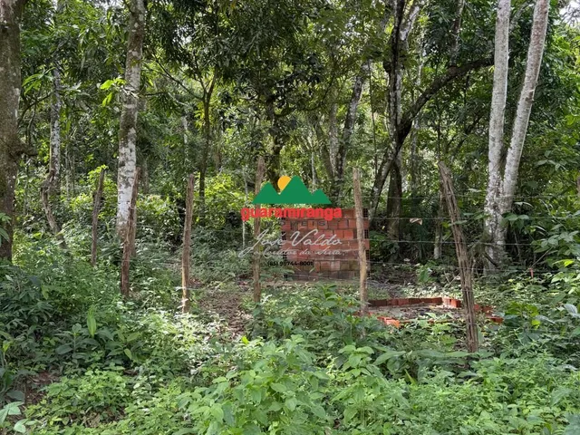 Imagem 13: Terreno com 5.2 hectares em Pacoti com nascente, vista para as montanhas e exce