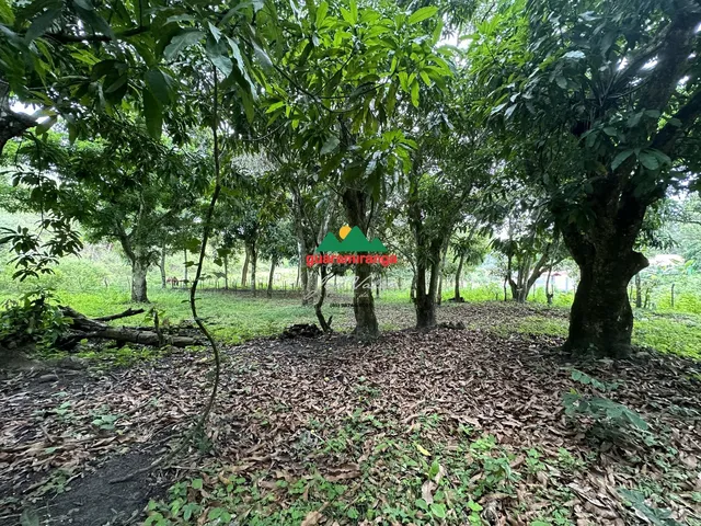 Imagem 1: Terreno plano com área total de 2.204,65m² em Mulungu/CE