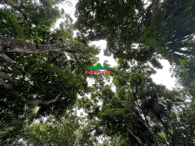 Imagem 4: Terreno plano com área total de 2.204,65m² em Mulungu/CE