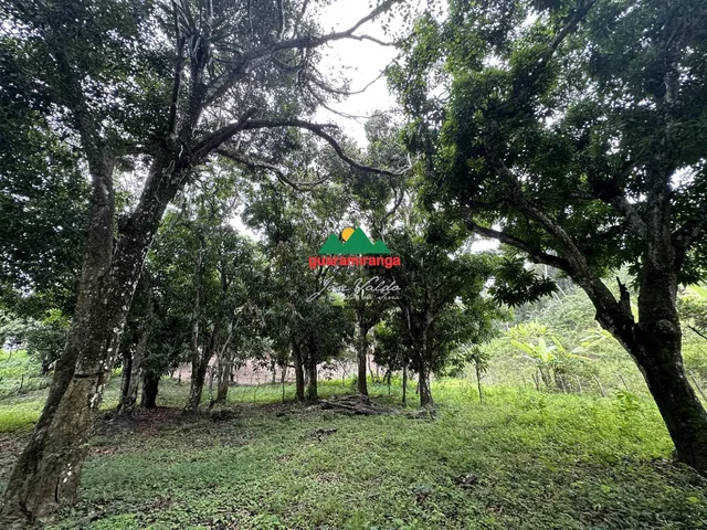 Imagem 7: Terreno plano com área total de 2.204,65m² em Mulungu/CE