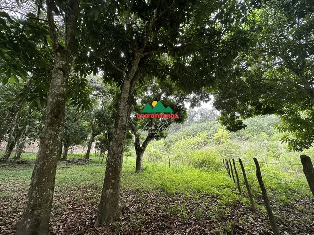 Imagem 10: Terreno plano com área total de 2.204,65m² em Mulungu/CE