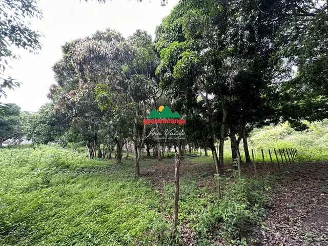 Imagem 13: Terreno plano com área total de 2.204,65m² em Mulungu/CE