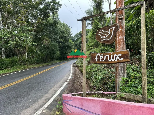 Imagem 3: Sítio de 8 ha, com mansão de 04 suítes, varanda com churrasqueira, piscina e ter